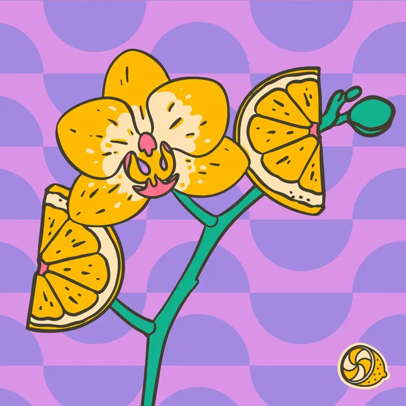 Orchids Growing