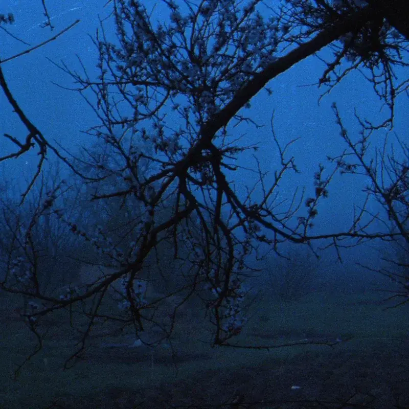 melancholy skies