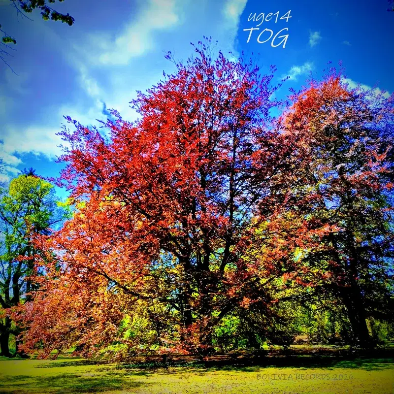 TOG