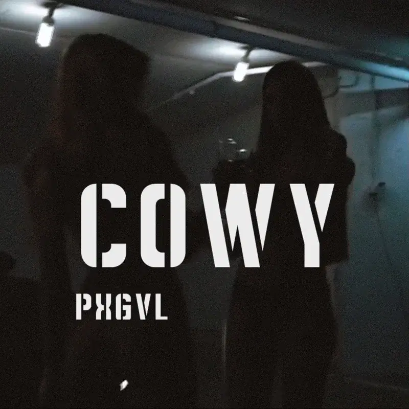 C.O.W.Y.