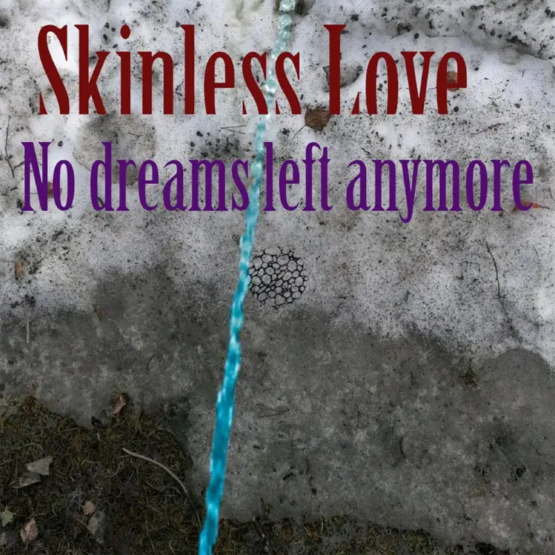 No Dreams Left Anymore