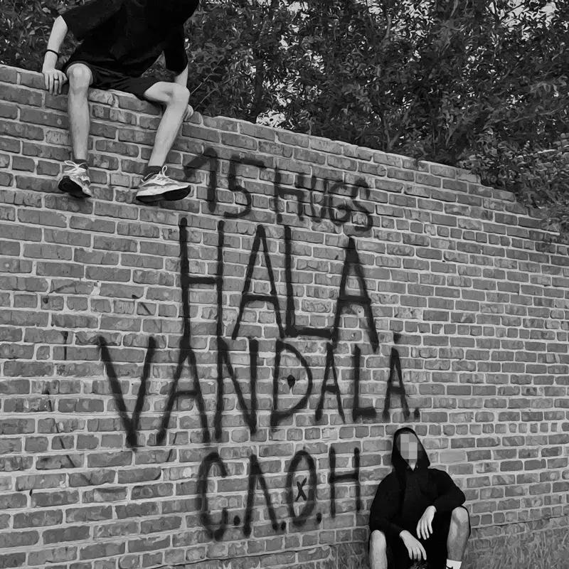 HALA VANDALA