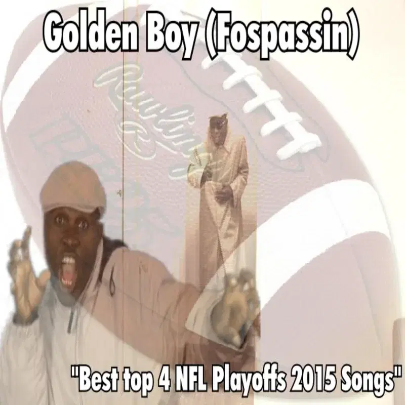 Best Top 4 NFL Playoffs 2015 Songs