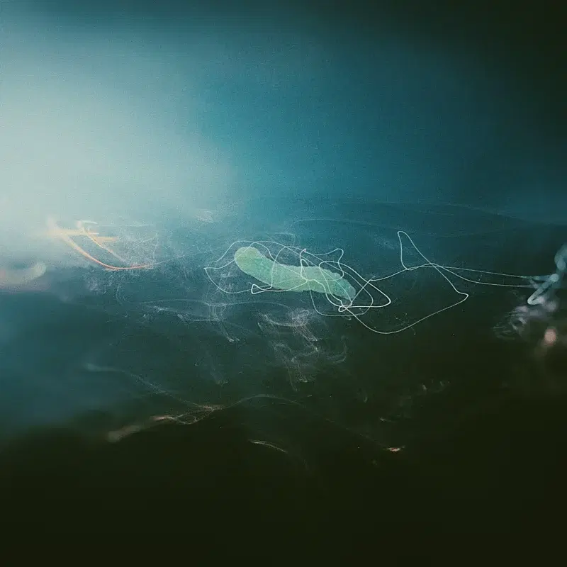 [pick it up]