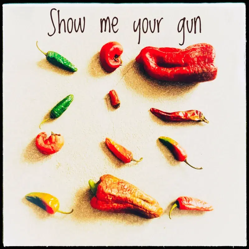 Show Me Your Gun
