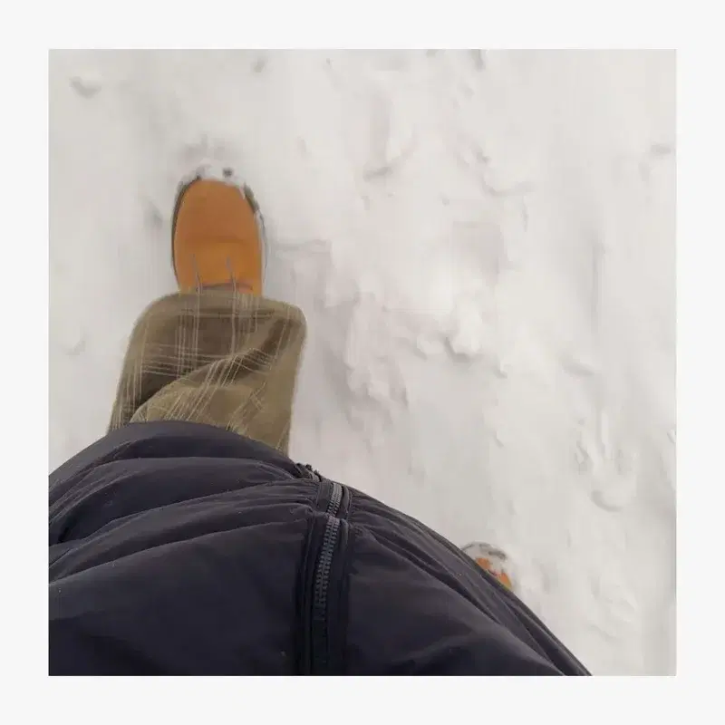 暴风雪呆在家里好无聊啊