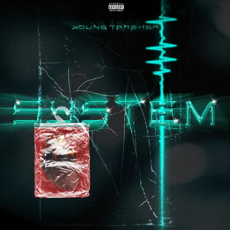 System