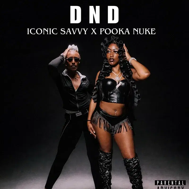 DND (feat. POOKA NUKE)