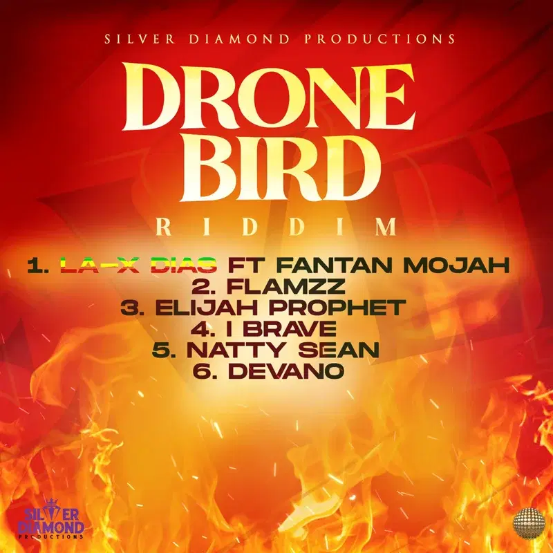 Drone Bird Riddim