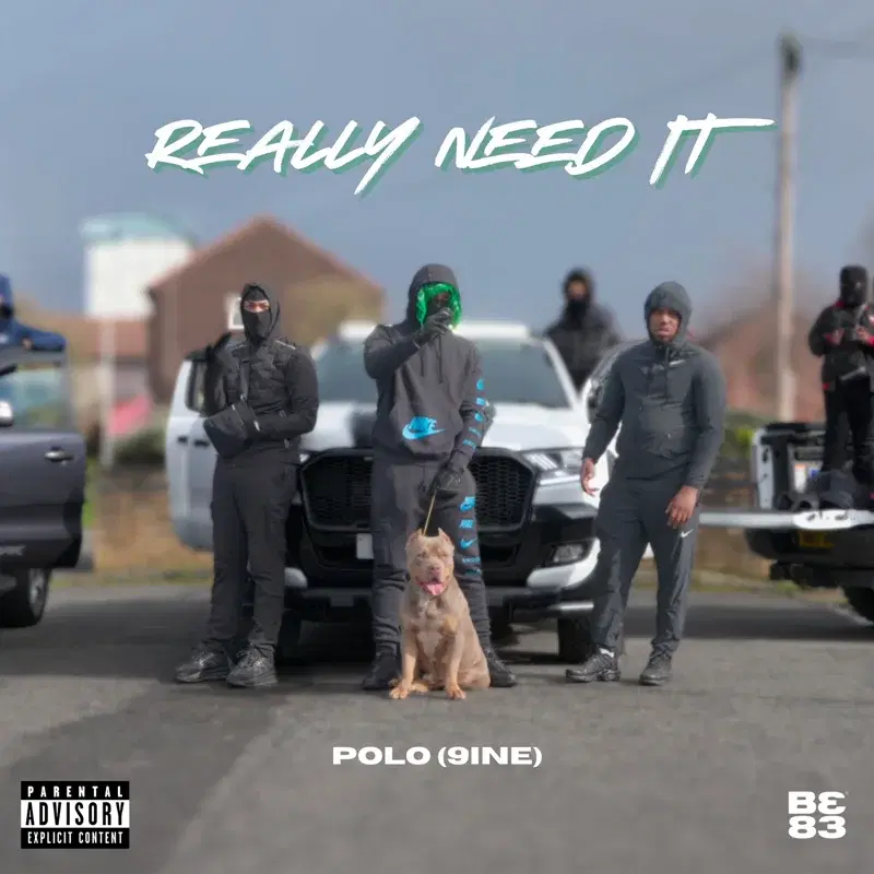 Really Need It
