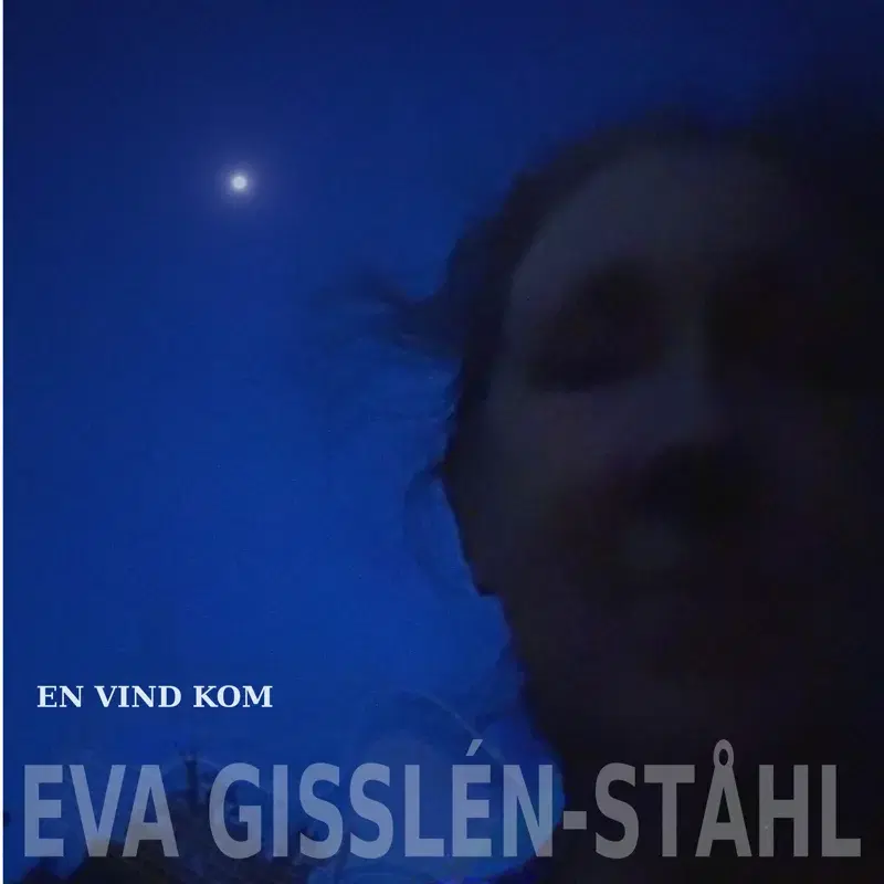 En vind kom