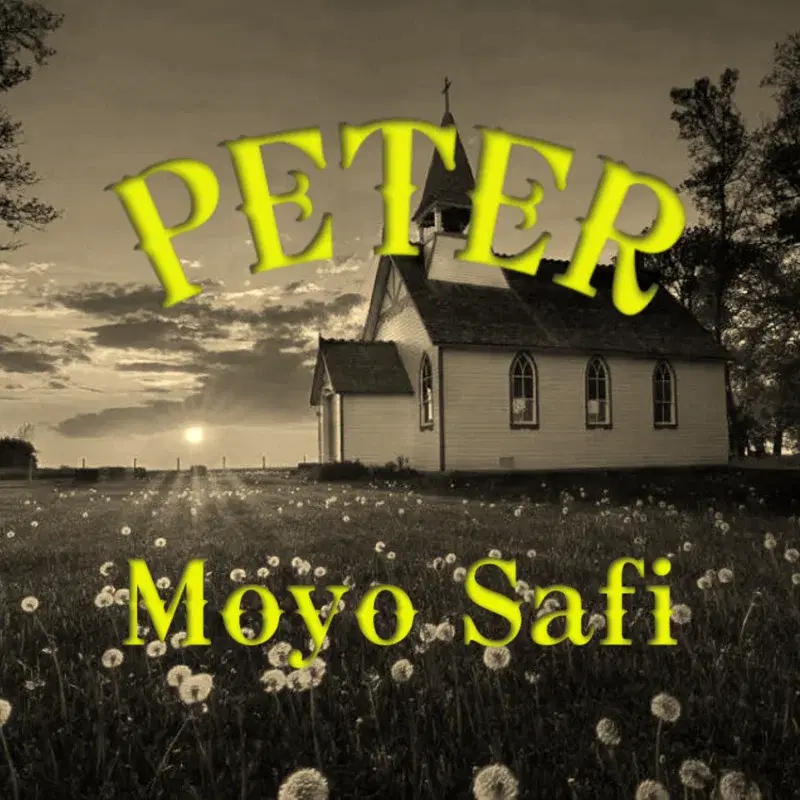Moyo Safi