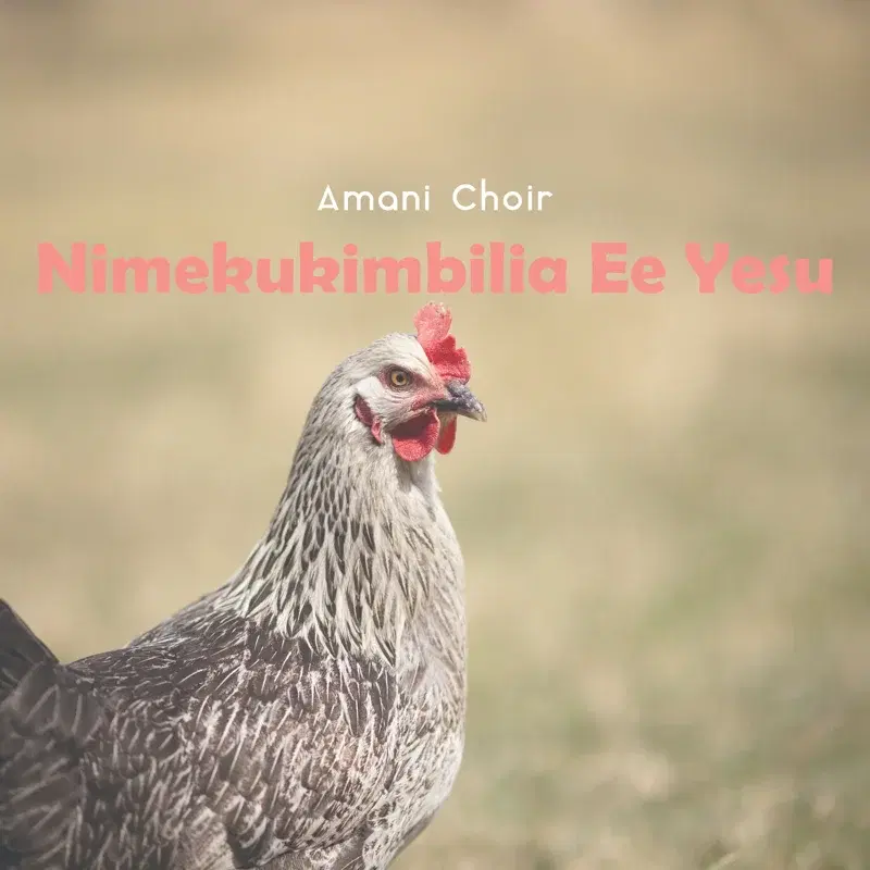 Nimekukimbilia Ee Yesu