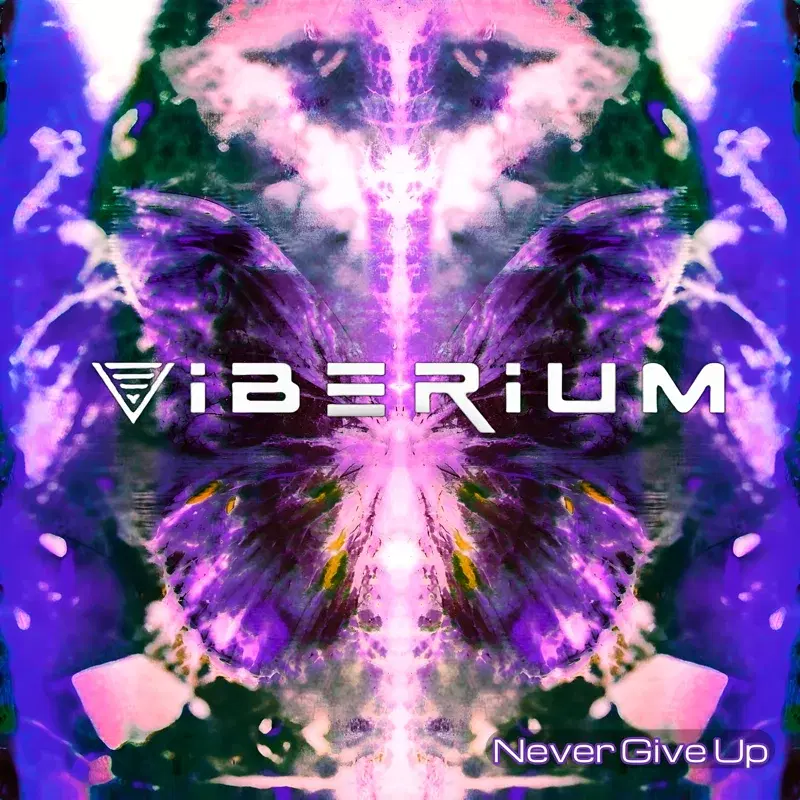 Never Give Up