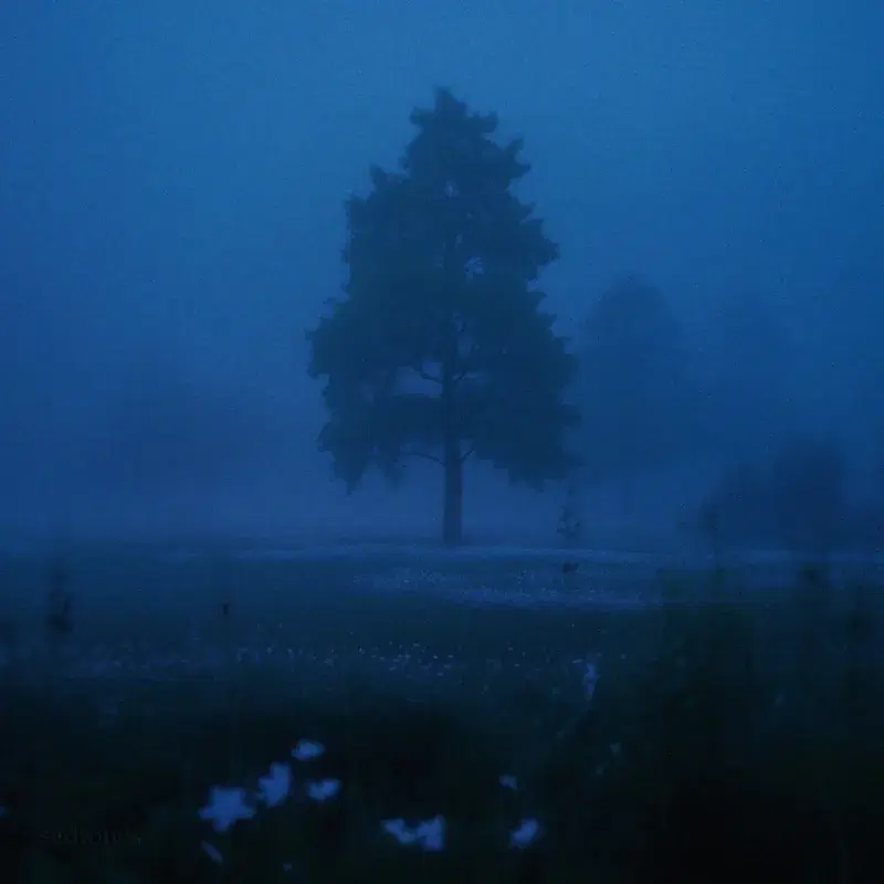 quiet place
