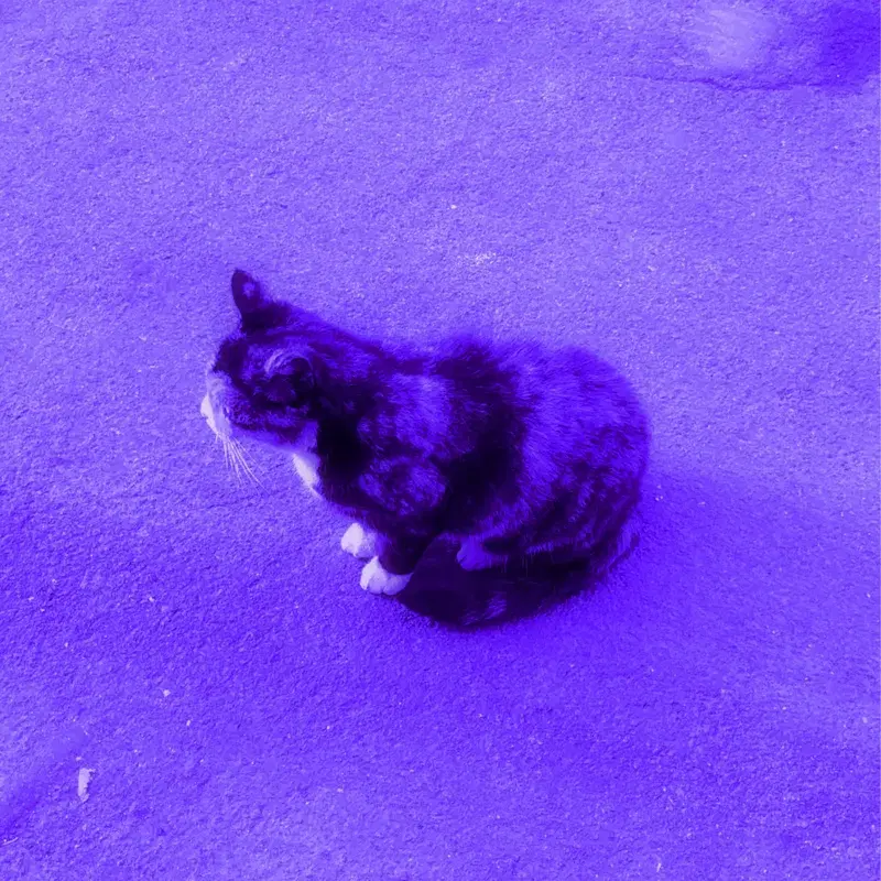inter.me