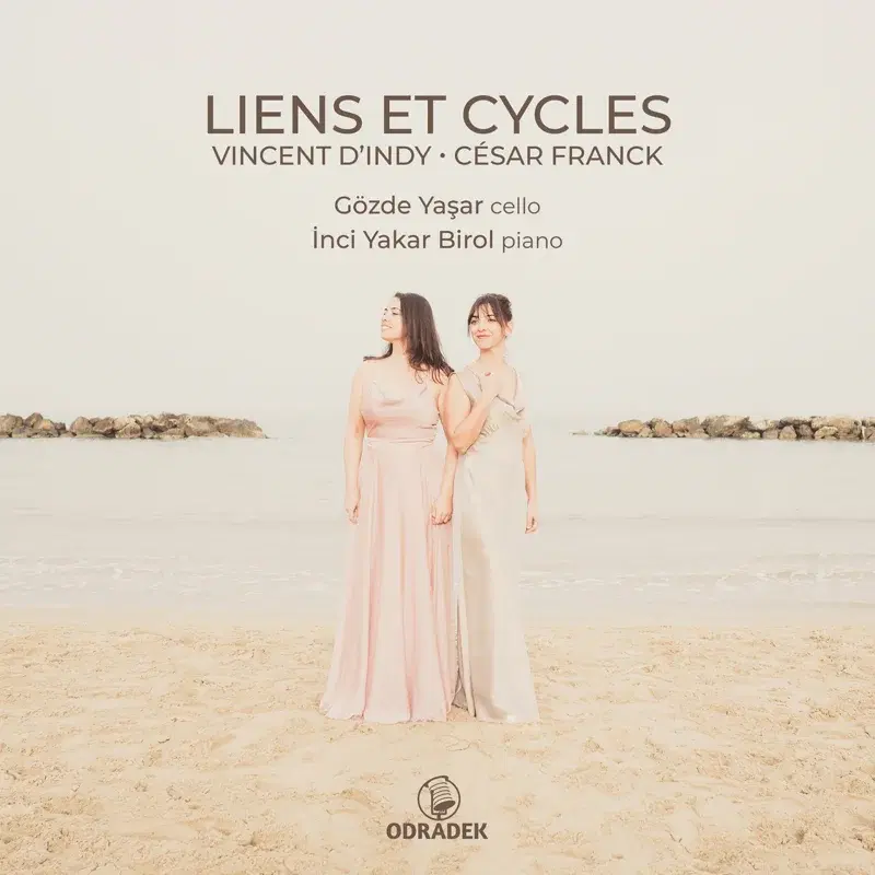 Liens et cycles
