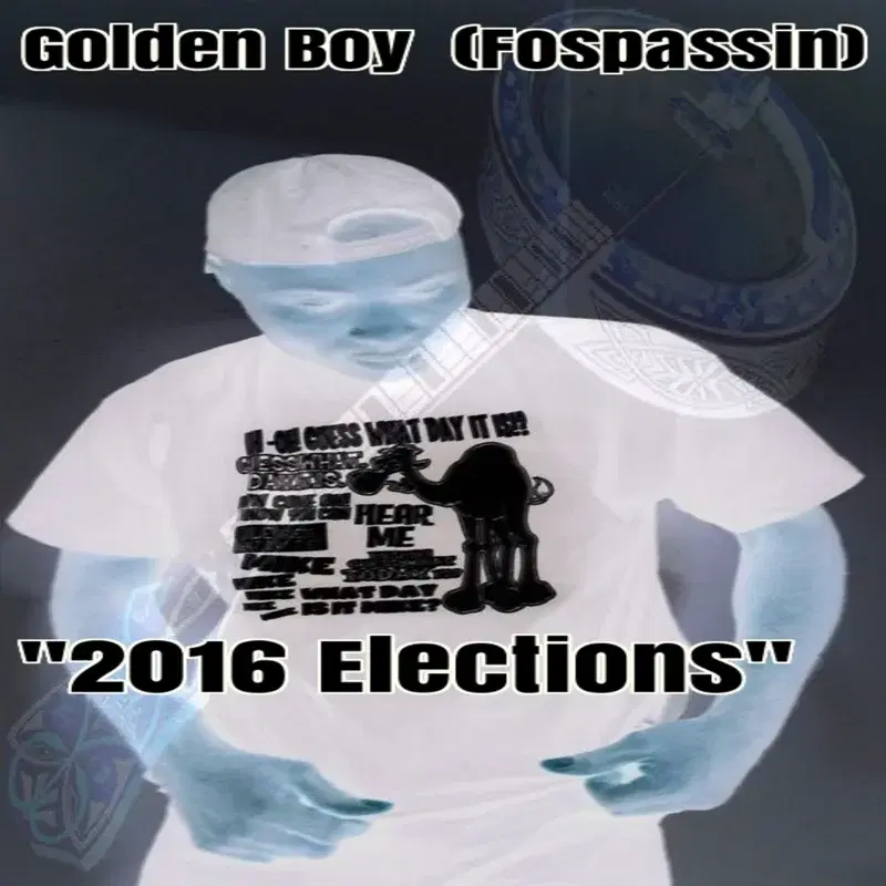 2016 Elections