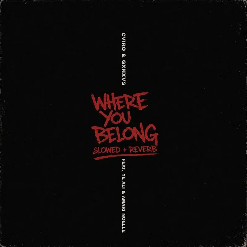 Where You Belong