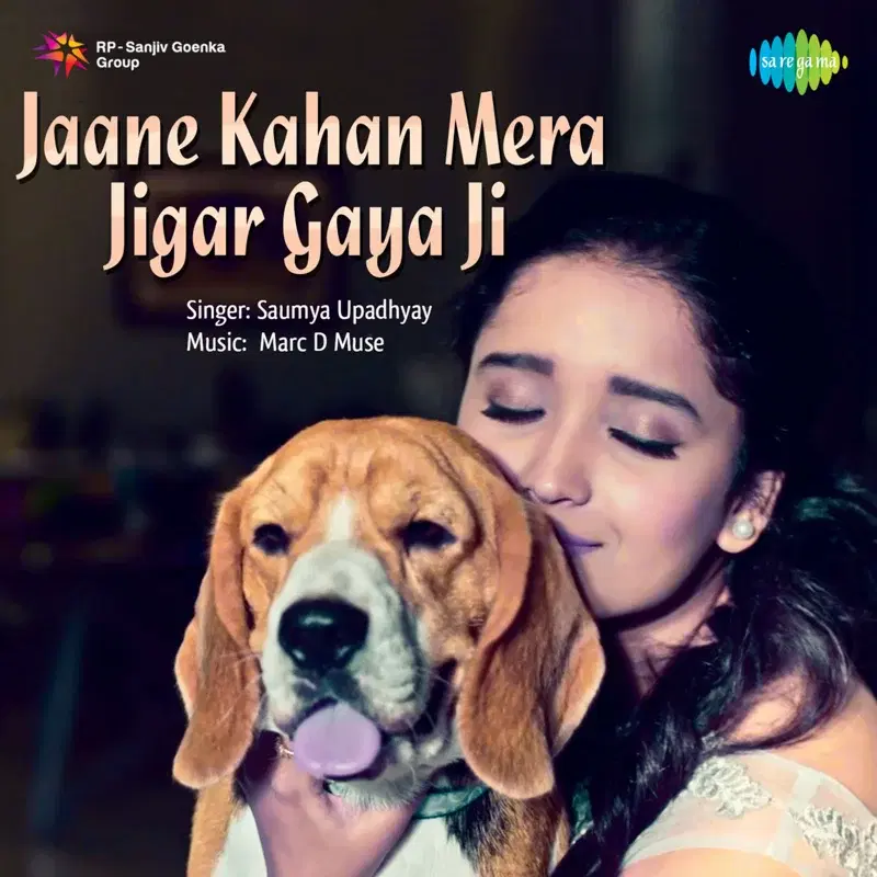 Jaane Kahan Mera Jigar Gaya Ji - Single