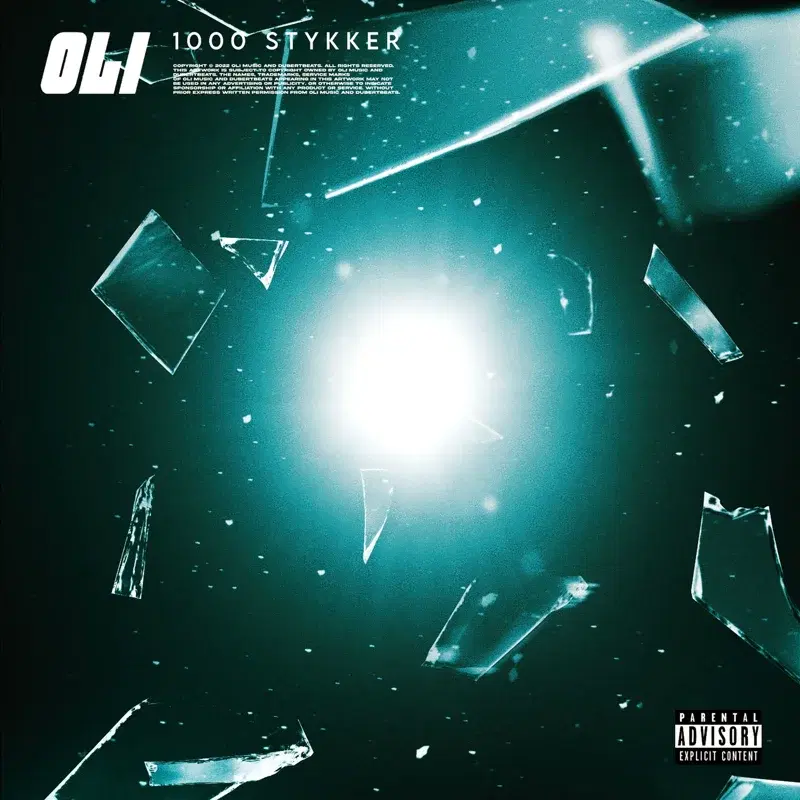 1000 Stykker