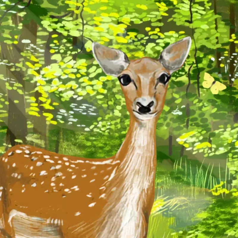 Natur Alfabetet Dådyret Dora