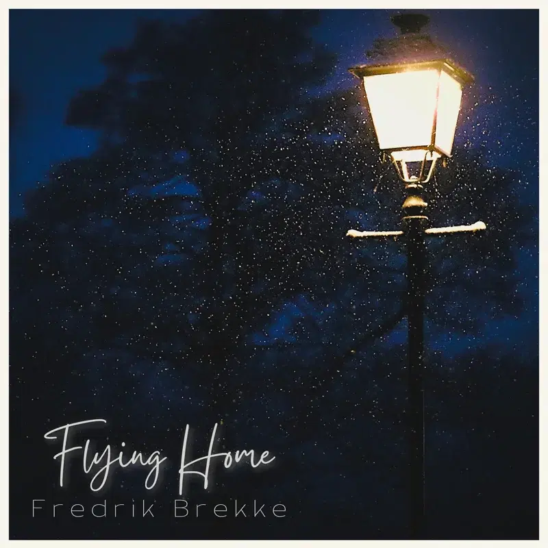 Flying Home
