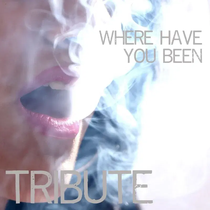 Where Have You Been (Rihanna Tribute) - Single