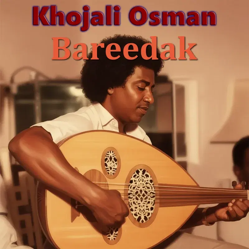 Bareedak