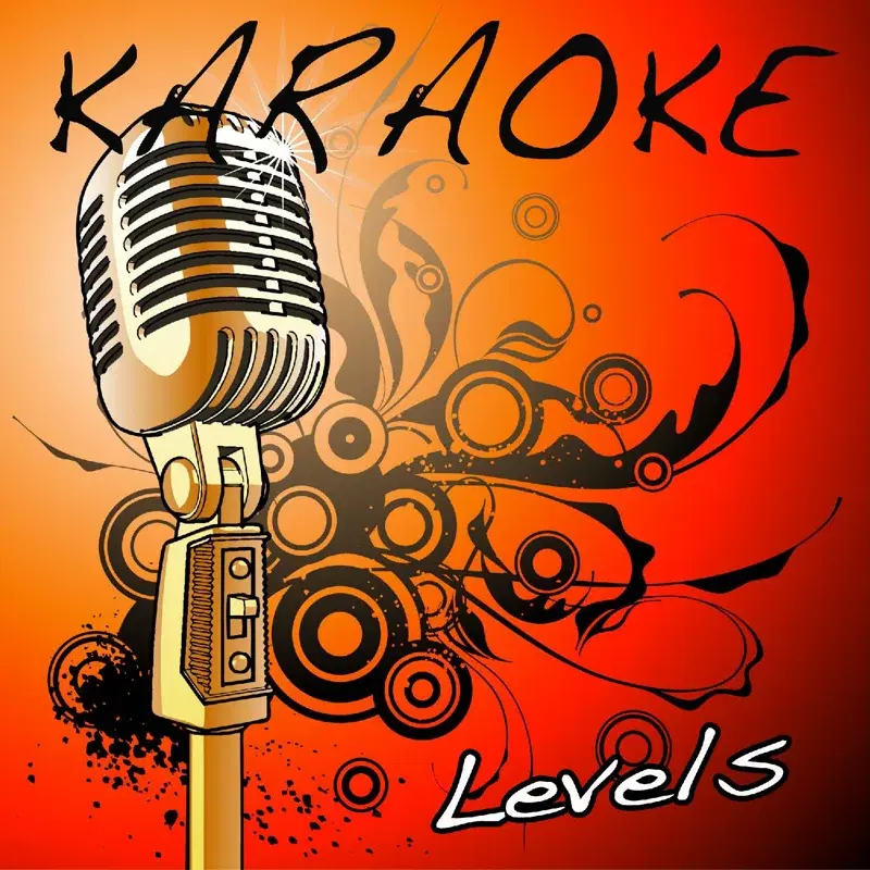 Levels (Avicii Karaoke Tribute) - Single