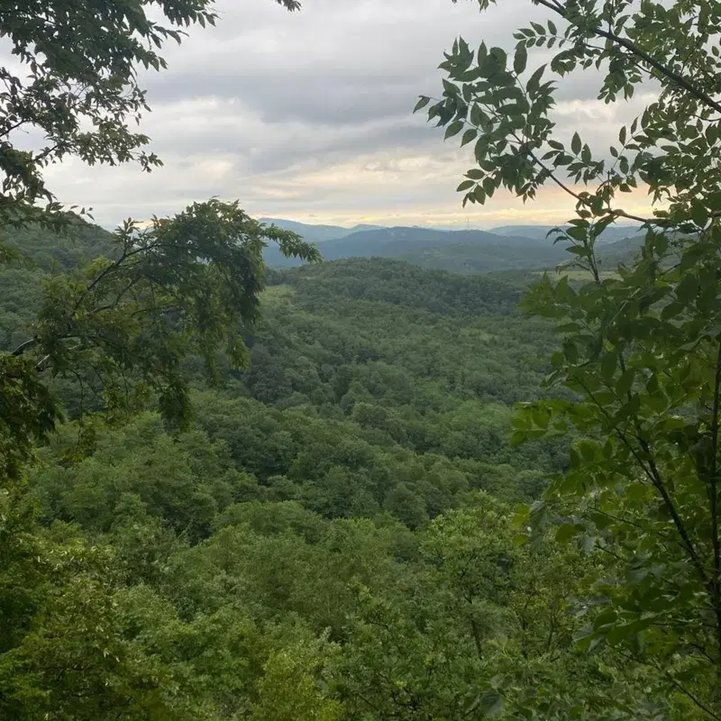 Nature