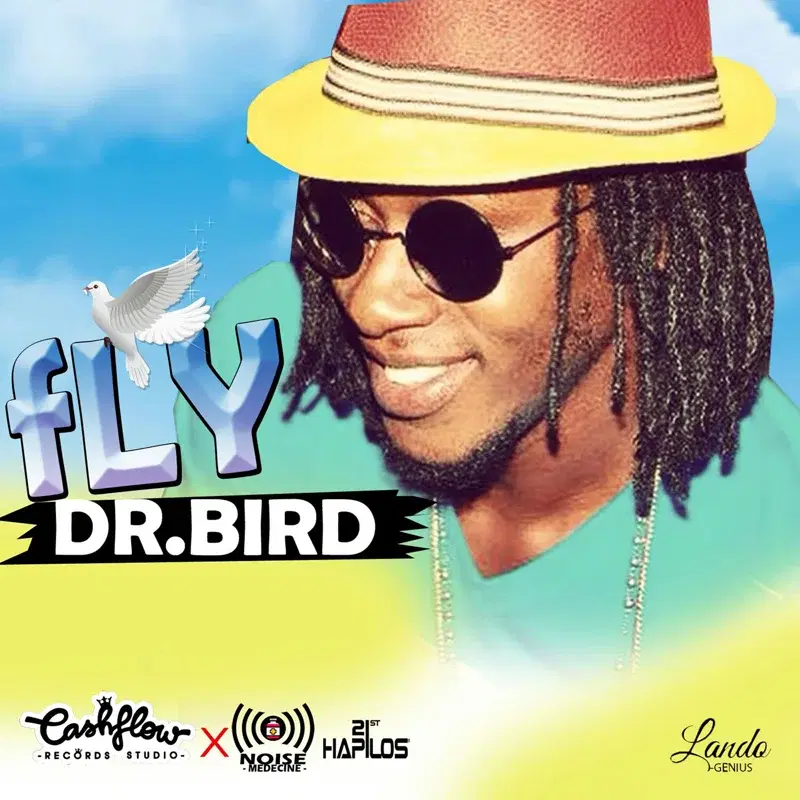 Fly