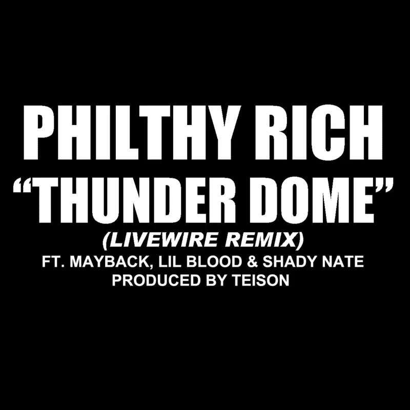 Thunder Dome (feat. Mayback, Lil Blood & Shady Nate) (Livewire Remix) - Single