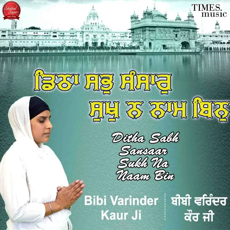 Ditha Sabh Sansaar Sukh Na Naam Bin