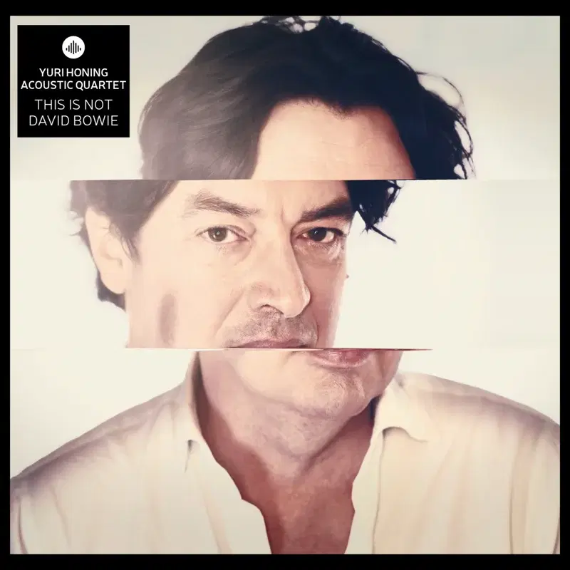 This is not David Bowie