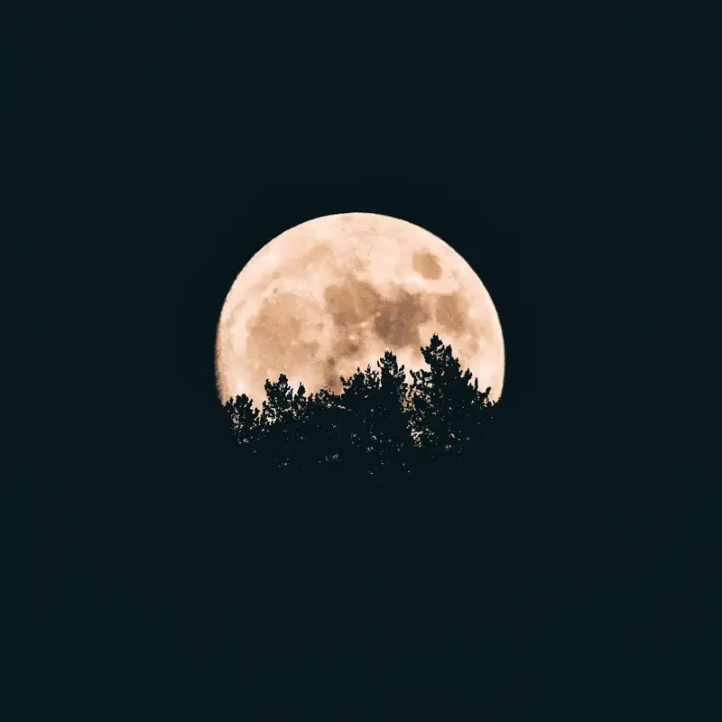 Moonrise