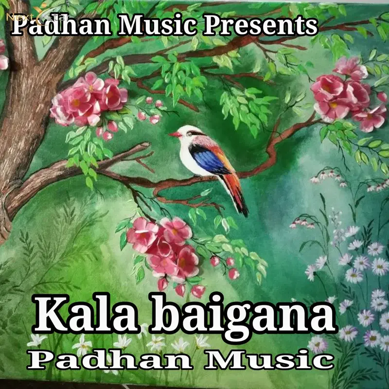 Kala Baigana