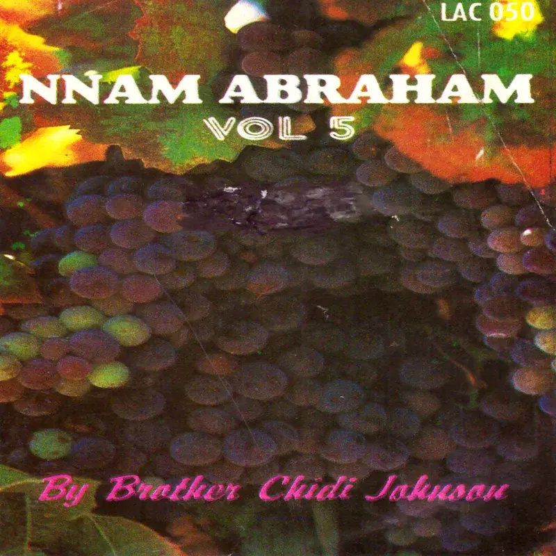 Nnam Abraham, Vol. 5
