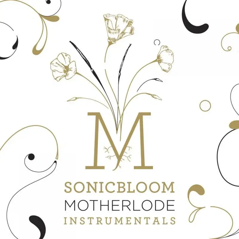 Motherlode Instrumentals
