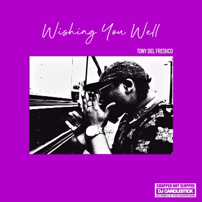 Wishing You Well (ChopNotSlop Remix)