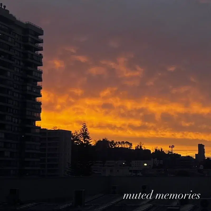 muted memories