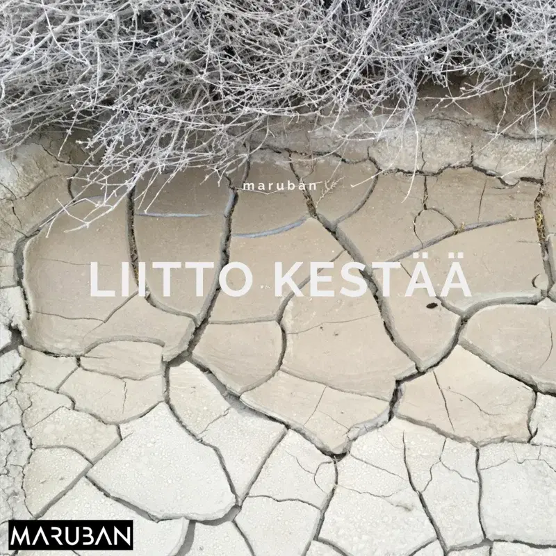 Liitto kestää
