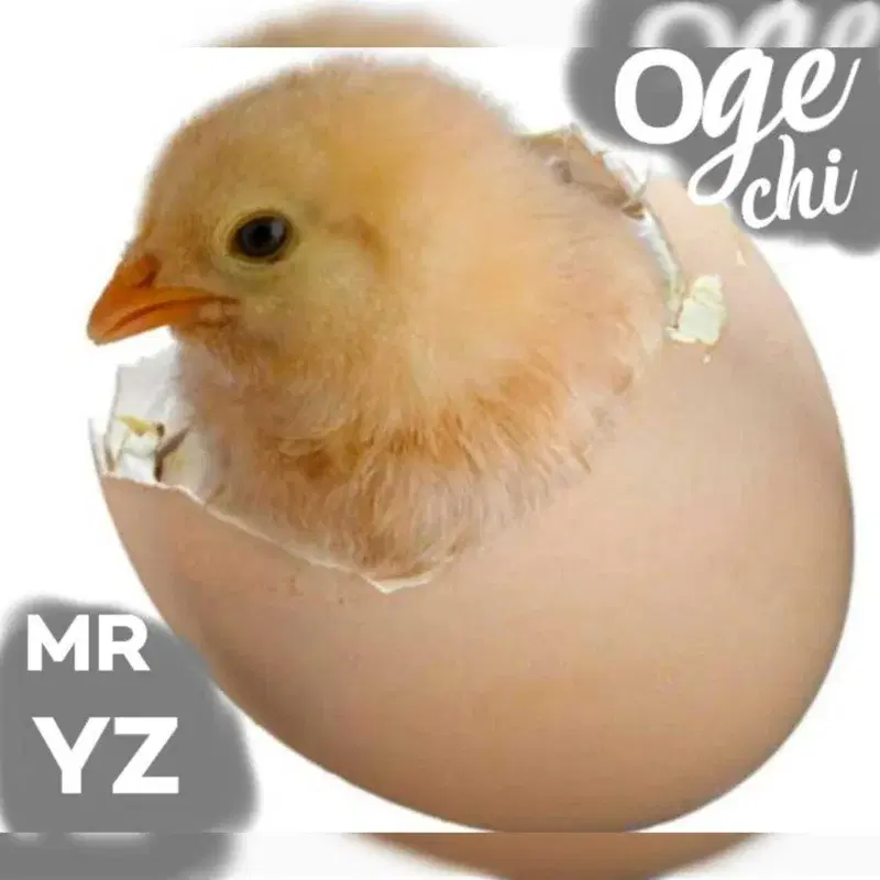 Ogechi