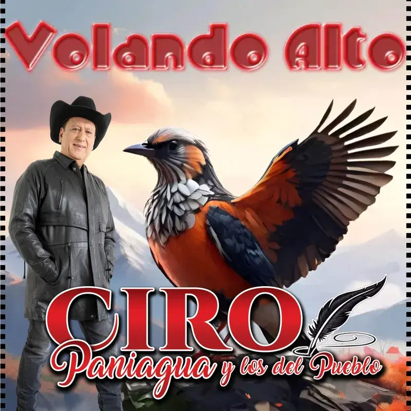 Volando Alto
