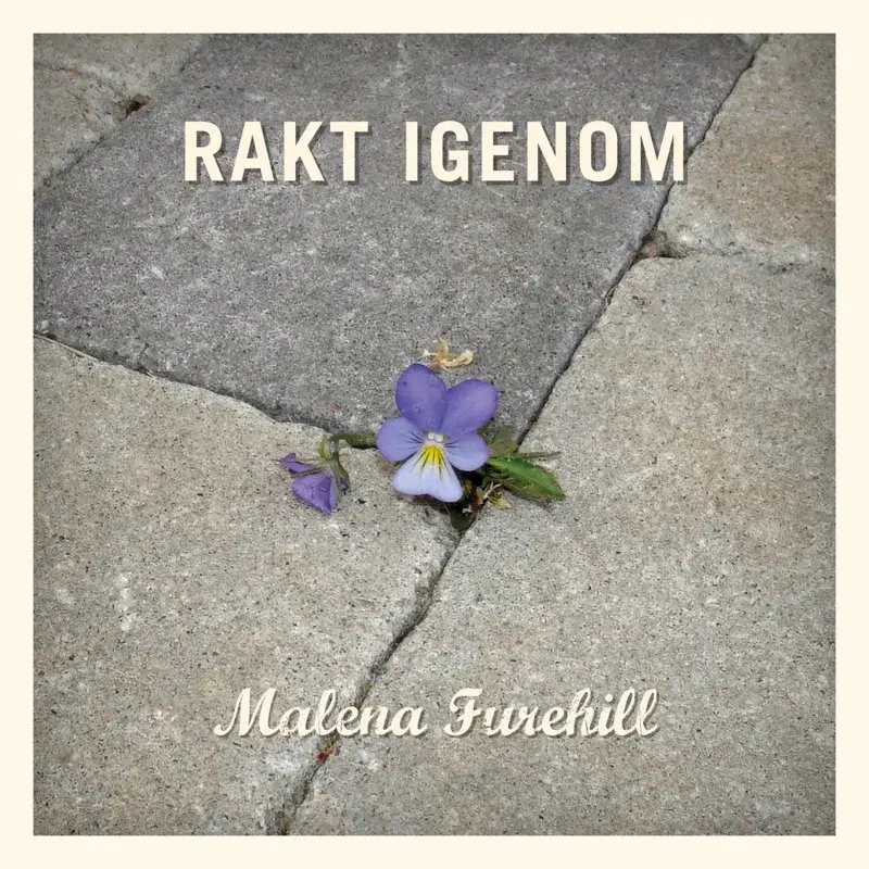 Rakt Igenom