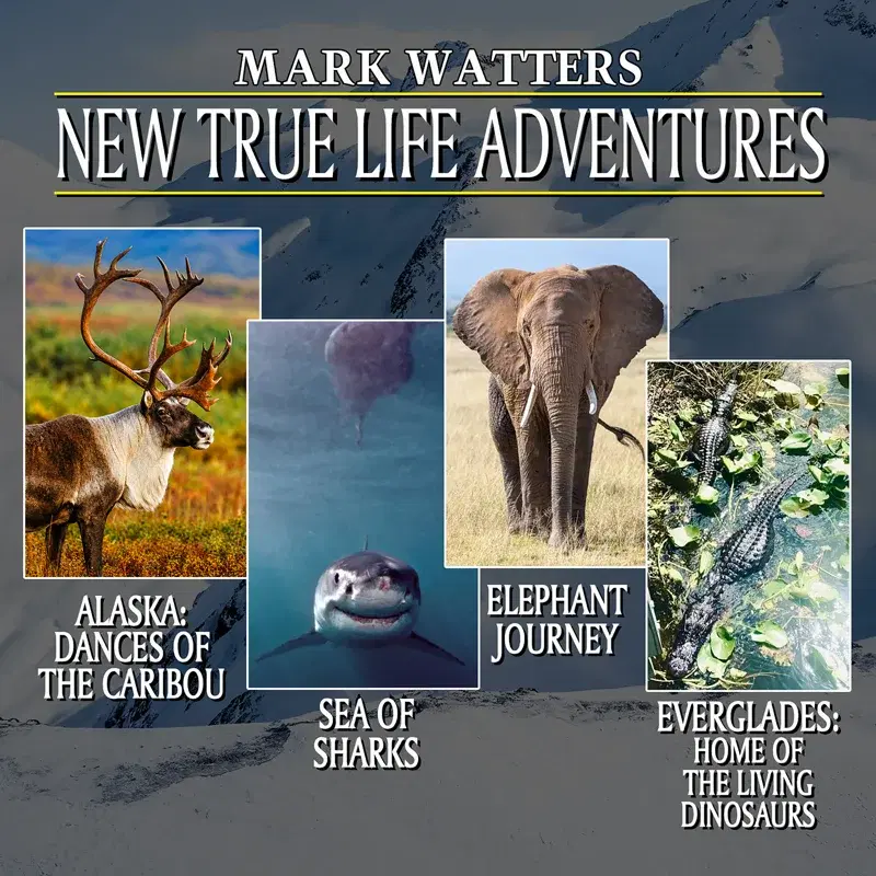 Cover Art