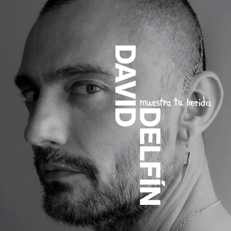 Davidelfin, Muestra tu Herida BSO