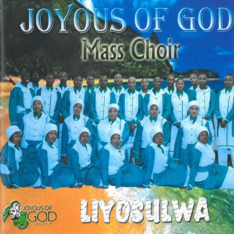 Liyosulwa