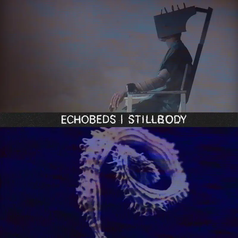 Still Body