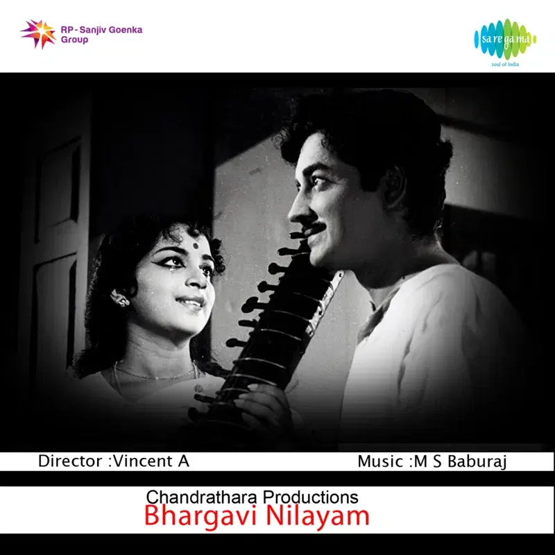 Bhargavi Nilayam (Original Motion Picture Soundtrack)